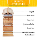 ApiaryPro Flow Hive inside with 7 frames - Beginner beekeeping kit
