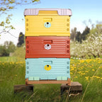 Insulated plastic bee hive made of durable HDPE, weatherproof and thermal protection for beekeeping