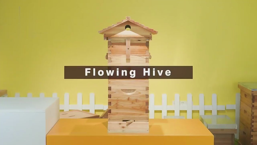 ApiaryPro Small Automatic Flow Bee Hive with Honey Spout – 6 Frame Cedar Beekeeping Starter Kit for Beginners & Backyard Use